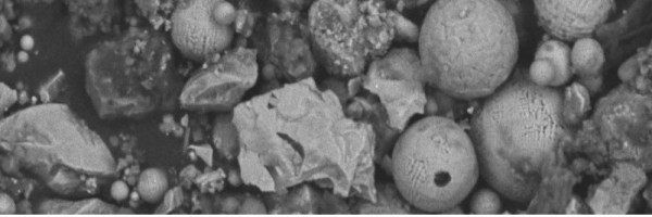 Zróżnicowanie technogenicznych cząstek magnetycznych w środowisku glebowym w zależności od źródeł emisji i ich rola w transporcie potencjalnie toksycznych pierwiastków