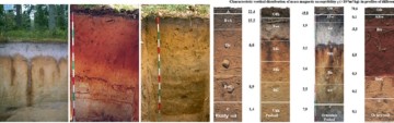 Pochodzenie minerałów żelaza w glebach o wysokiej przepuszczalności i wyznaczanie horyzontów diagnostycznych gleby za pomocą wskaźników magnetycznych