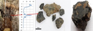 Magnetyczna i mineralogiczna charakterystyka technogenicznych cząstek magnetycznych obecnych w glebach i torfowiskach rejonów wielowiekowej działalności górniczo-hutniczej w zlewni Brynicy i Stoły