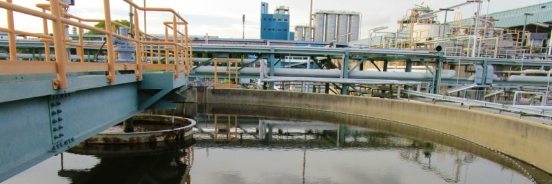 Heavy metals in sewage sludge and ecological risk