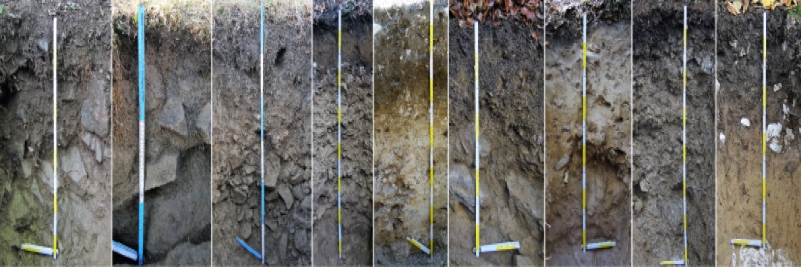 The use of magnetometry to assess the effect of geological bedrock on parent rock on the basis of their magnetic and geochemical properties
